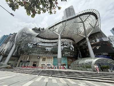 Orchard Road