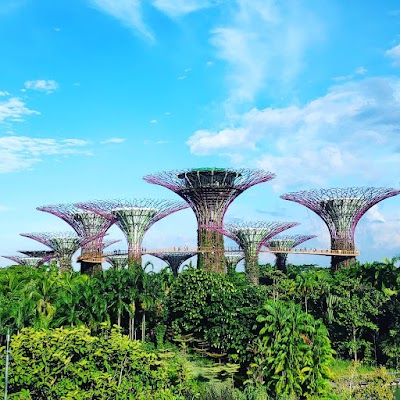 Gardens by the Bay, Singapore