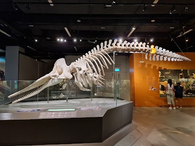 Museo de Historia Natural Lee Kong Chian