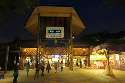 The Night Safari