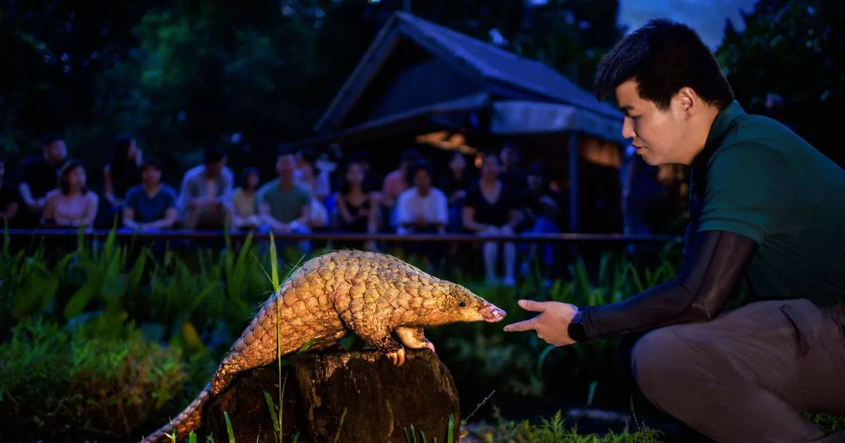 Night Safari, Singapour