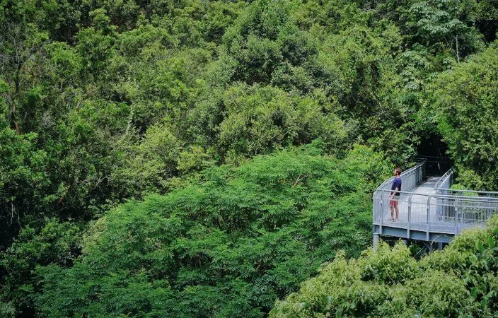 MacRitchie Reservoir Park (TreeTop Walk), Singapour