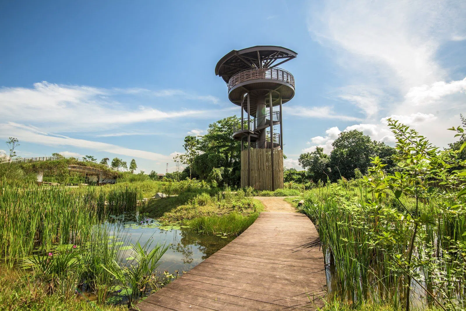 Kranji Marshes, Singapore
